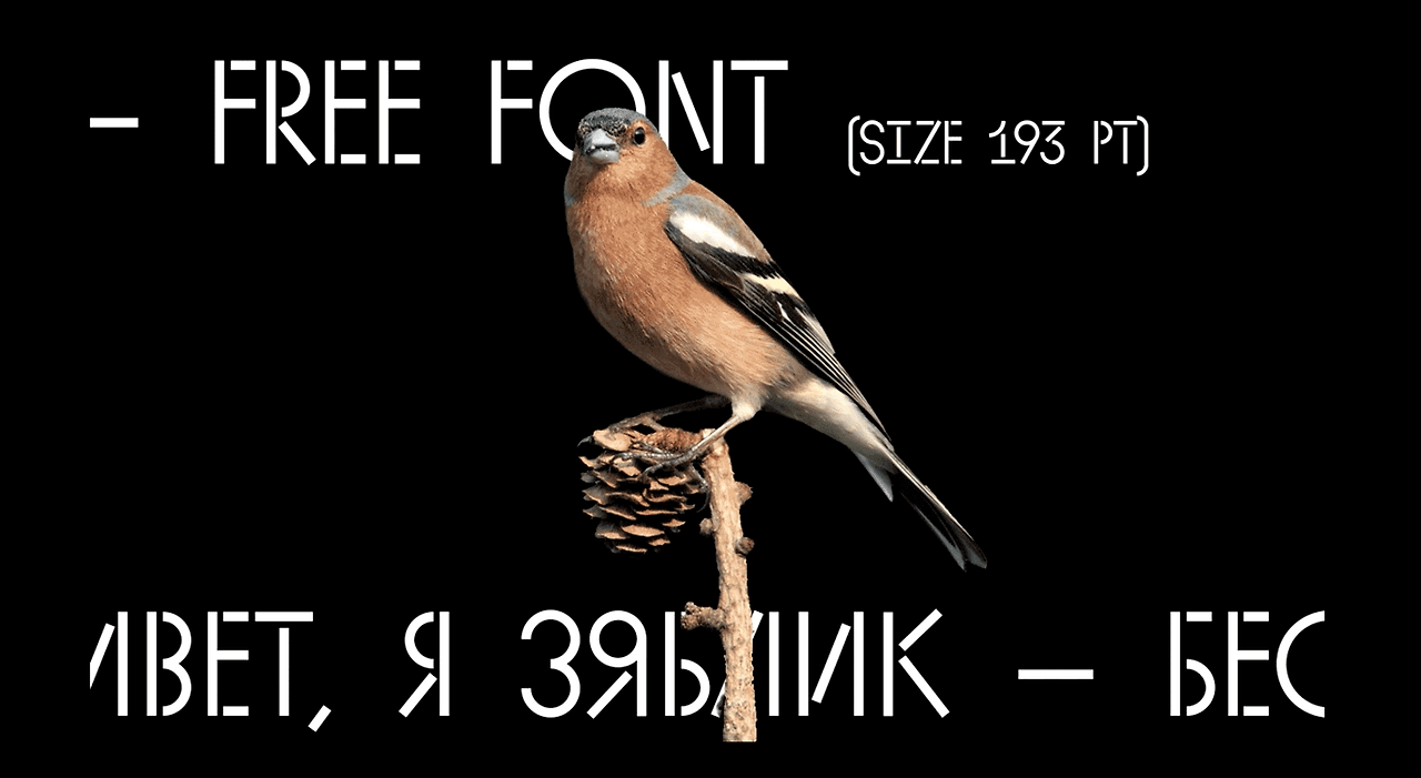 Aug-25-2021 07-52-50.gif