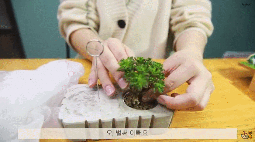 GIF 2021-03-24 오전 10-34-08.gif