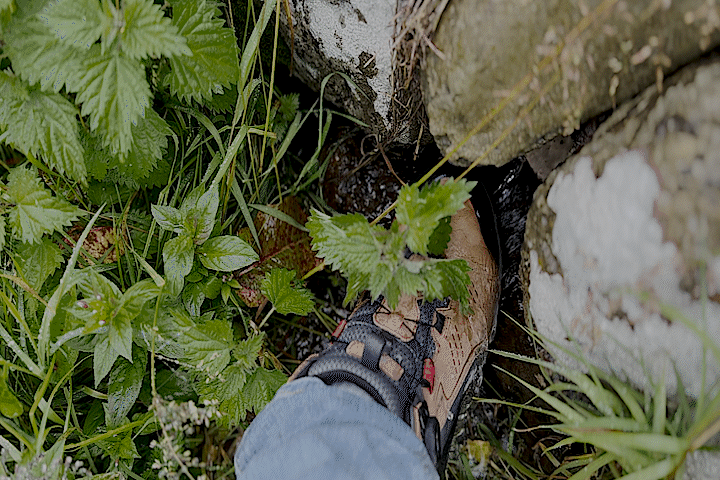 시퀀스 01_2.gif