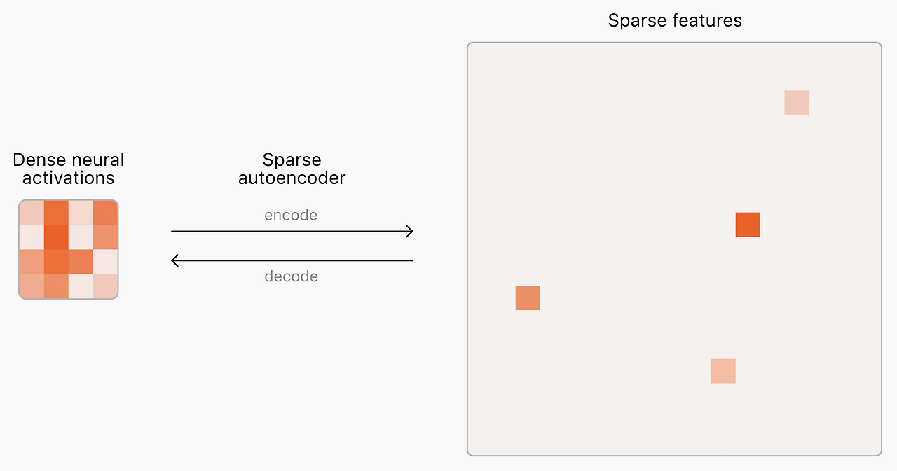 sparse-autoencoder_light.gif