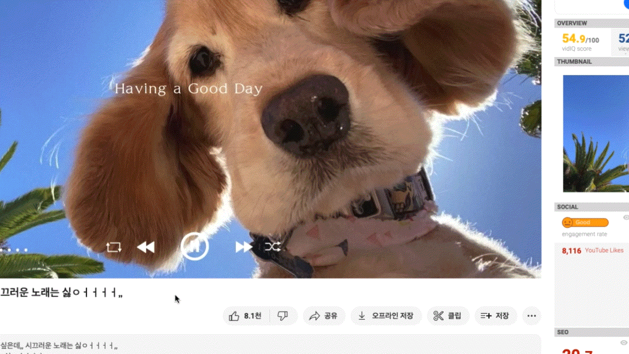 KakaoTalk_Photo_2023-05-03-13-52-49 002.gif