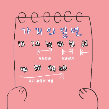가지의일년.gif