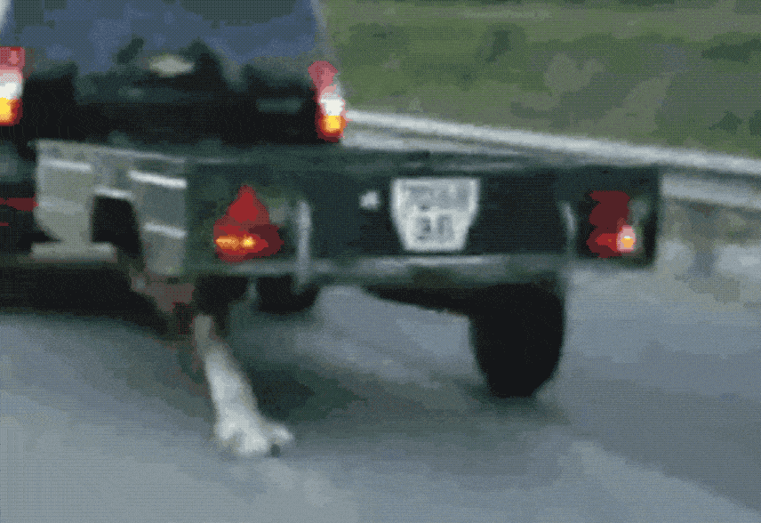 2018-06-01 01_43_12-min.gif