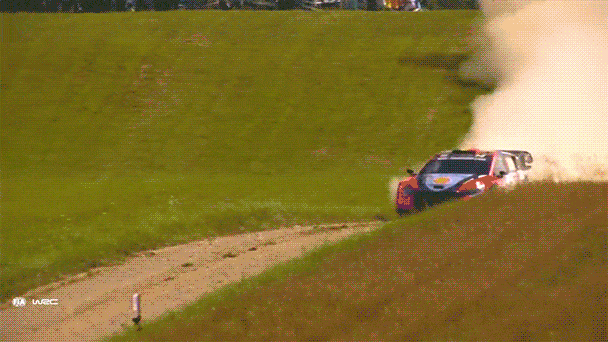 24wrc_8r-15.gif