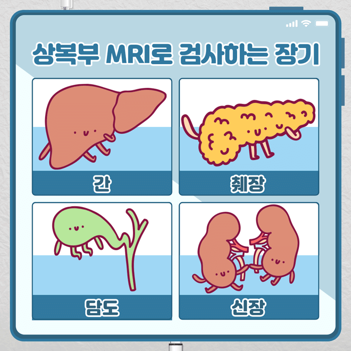 상복부-검사-MRI_02.gif