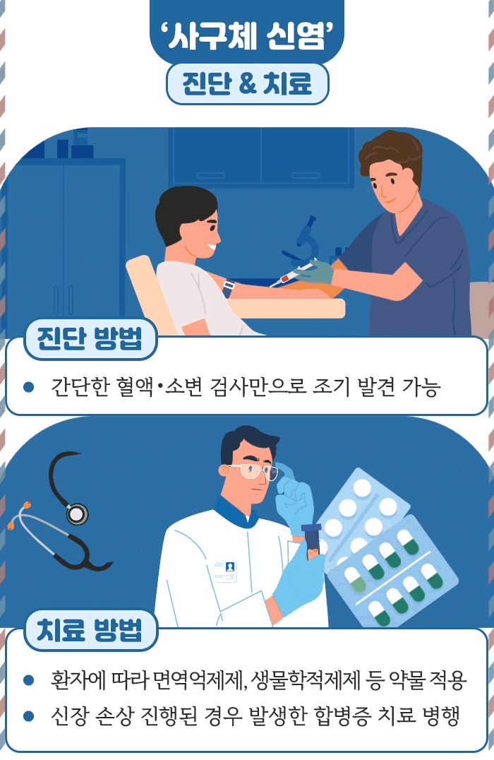 사구체 신염_6.gif