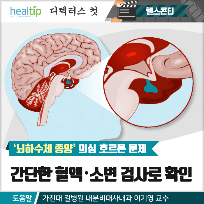 뇌하수체_01m_힐팁.gif