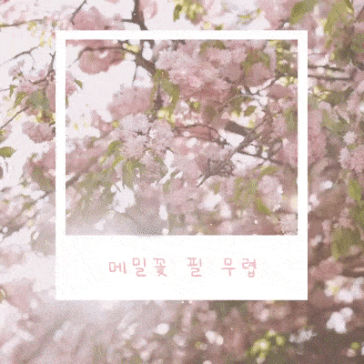 제목을-입력해주세요_ (14)-min.gif