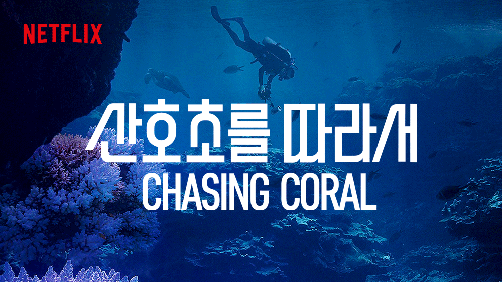 산호초를 따라서.gif