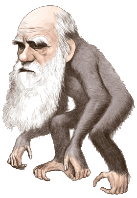 원숭이재판01 copy.gif