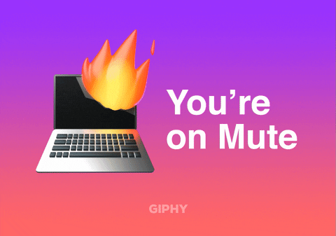 giphy (1).gif