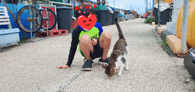 친절한 고영희씨.gif