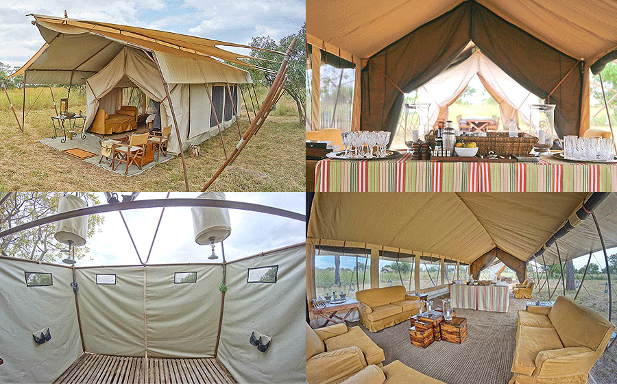 serengeti-under-canvas-camp-1.gif
