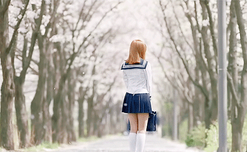 230126_칸고쿠 청춘.gif