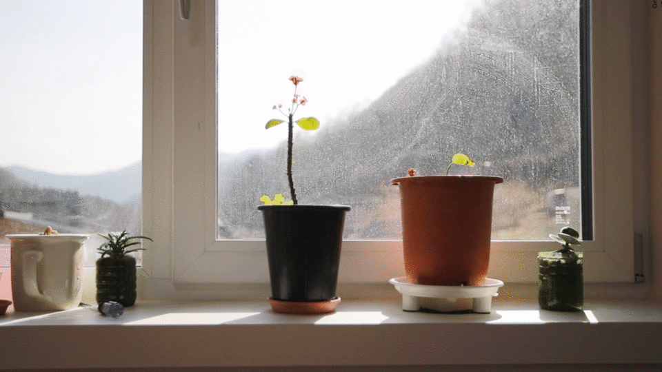 강원도 인제 기린면 진동리_공작소 완공사례_3.gif