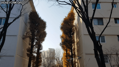 Honeycam 2020-12-24 16-13-31.gif