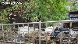 Honeycam 2020-11-01 15-44-08.gif