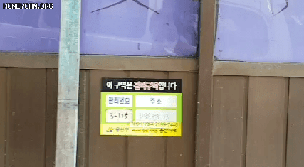 Honeycam 2020-11-01 15-45-55.gif