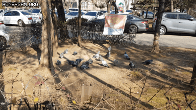 Honeycam 2020-12-24 16-14-06.gif