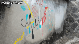 Honeycam 2020-11-01 15-46-17.gif