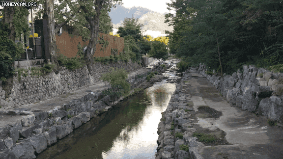 Honeycam 2020-09-29 22-43-48.gif