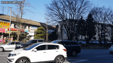 Honeycam 2020-12-24 16-11-32.gif