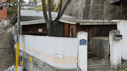 Honeycam 2020-11-01 15-43-44.gif