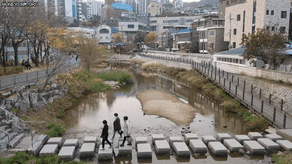 Honeycam 2021-02-07 21-48-43.gif