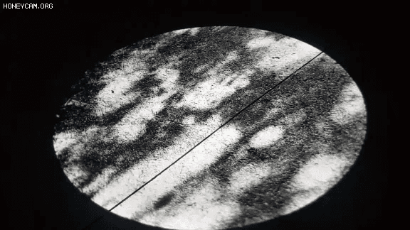 Honeycam 2021-02-07 21-47-12.gif