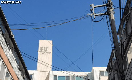 Honeycam 2020-12-24 16-17-38.gif