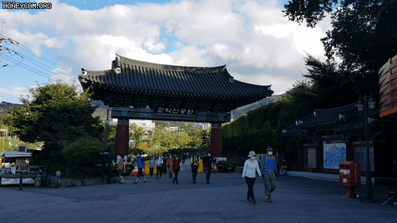 Honeycam 2020-09-29 22-42-28.gif