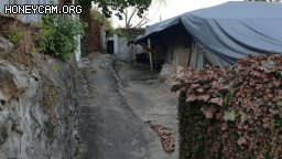 Honeycam 2020-11-01 15-44-33.gif