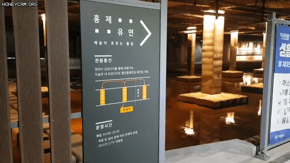 Honeycam 2021-02-07 21-46-10.gif