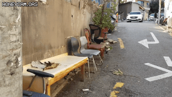 Honeycam 2020-11-01 15-46-38.gif