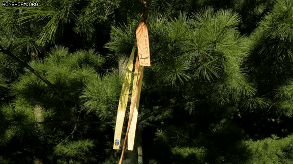 Honeycam 2020-09-29 22-41-32.gif