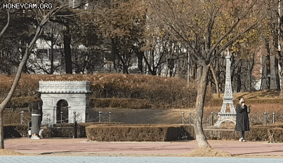 Honeycam 2020-12-24 16-25-21.gif