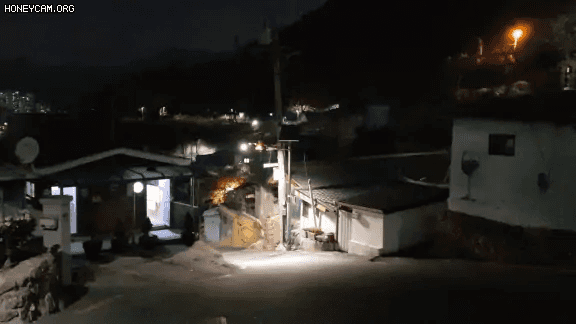 Honeycam 2021-02-07 21-51-47.gif