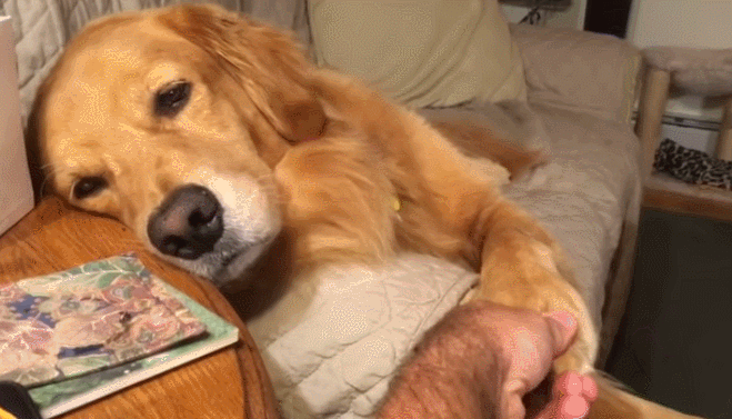 GIF 2021-03-08 오후 10-18-44.gif