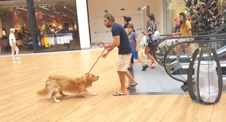 GIF 2021-01-12 오후 10-00-28.gif