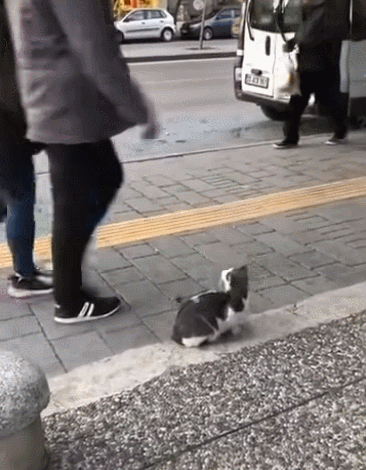 GIF 2021-01-18 오후 6-35-16.gif