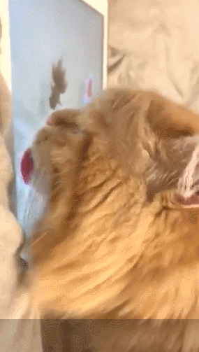 GIF 2021-03-07 오후 3-43-18.gif