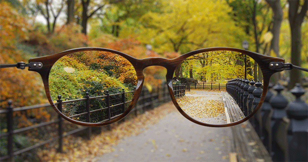 Armani-Central-Park-6151.gif