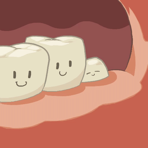 보이지 않는 사랑니.gif