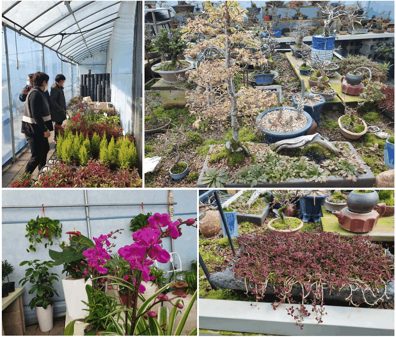 ScreenHunter_2299 Dec. 03 20.13.gif