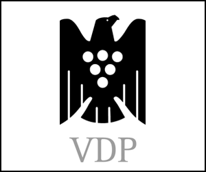VDP_logo.gif