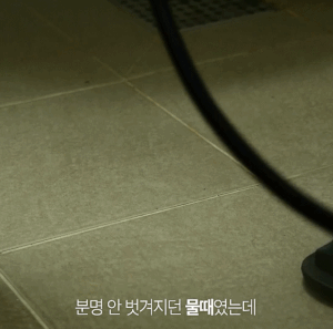 Animated GIF-downsized_large.gif