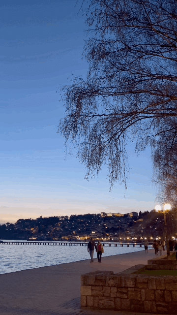 제목 없음 2.gif