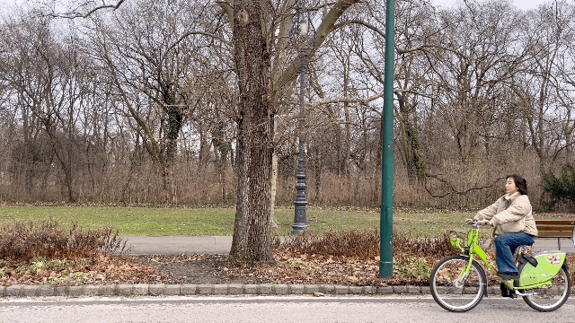 제목 없음 4.gif