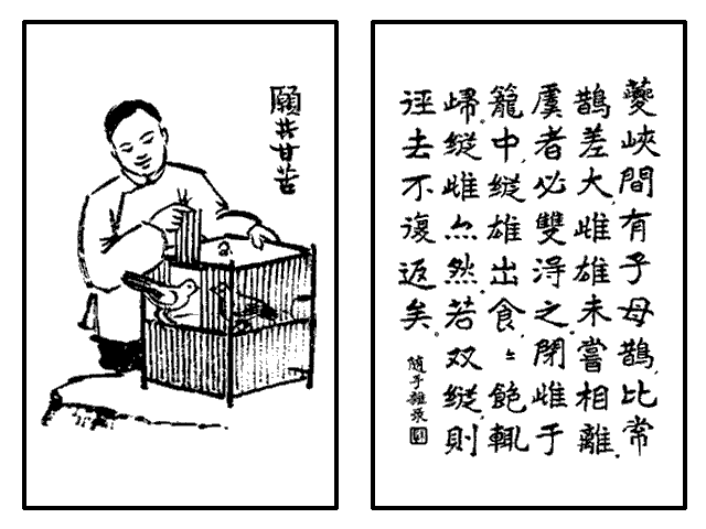 210. 願共甘苦.gif