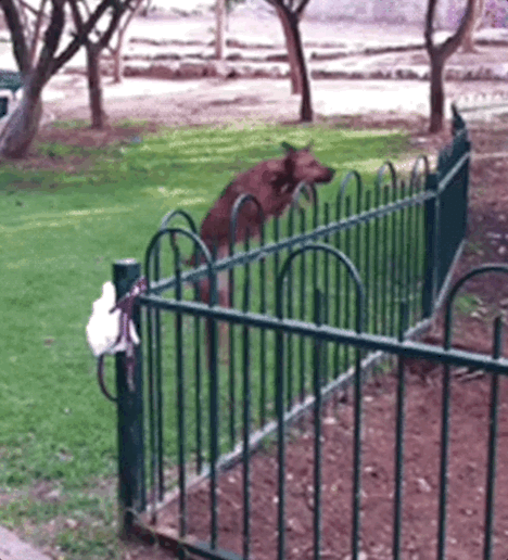 Oct-09-2022 16-56-11.gif